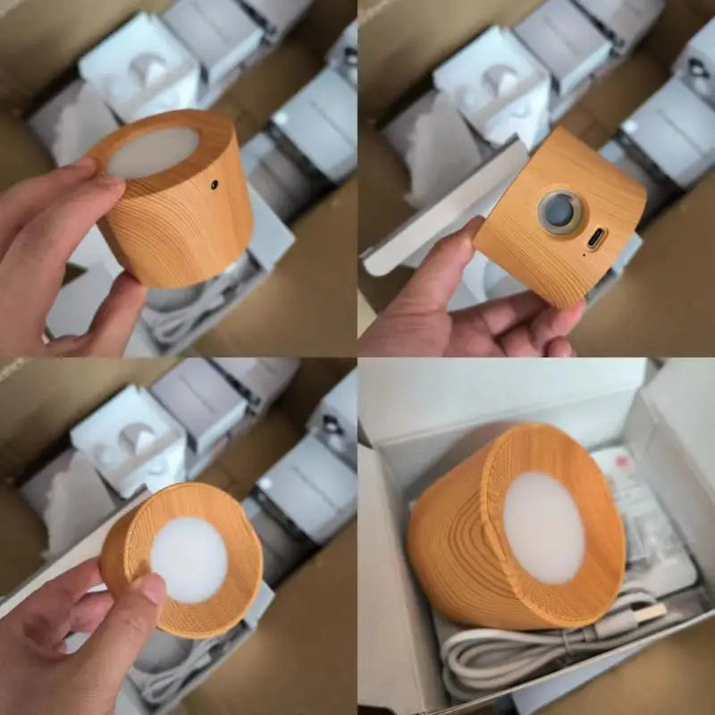 Wall Mounted Rechargeable Magnetic Lamp with Scones